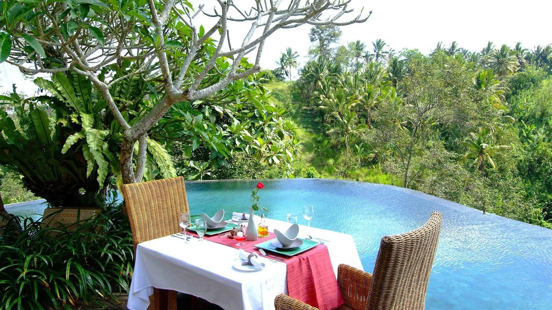 Natura Villa Ubud Endonezya
